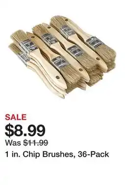 Harbor Freight Tools 1 in. Chip Brushes, 36-Pack offer