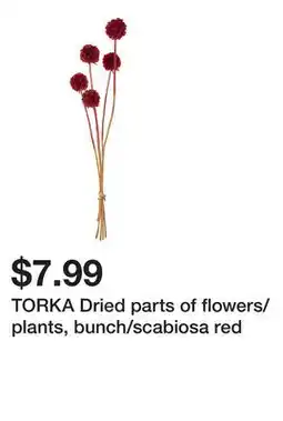 Ikea TORKA Dried parts of flowers/plants, bunch/scabiosa red offer