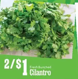 Market Basket Fresh Bunched Cilantro offer