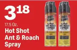 Market Basket Hot Shot Ant & Roach Spray offer
