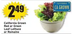 Ray's Food California Grown Red or Green Leaf Lettuce or Romaine offer