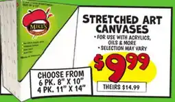 Ollie's MIKE'S STRETCHED ART CANVASES offer