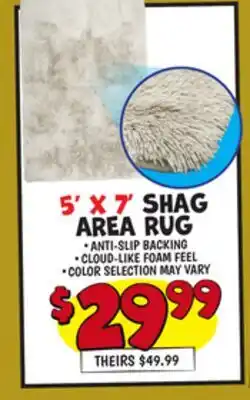 Ollie's SHAG AREA RUG offer