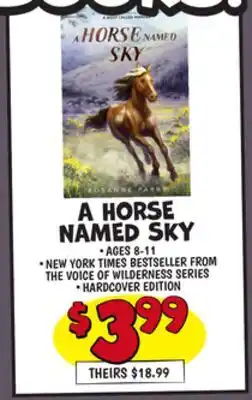 Ollie's A HORSE NAMED SKY offer