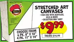 Ollie's STRETCHED ART CANVASES offer