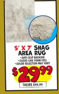 Ollie's 5' X 7' SHAG AREA RUG offer