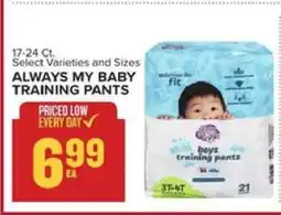 Food Lion ALWAYS MY BABY TRAINING PANTS offer