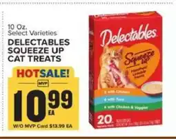 Food Lion Delectables Squeeze Up Cat Treats offer