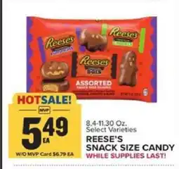 Food Lion Reese's Snack Size Candy offer