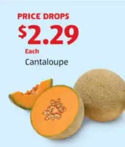 Aldi Cantaloupe offer