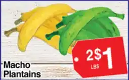 Superior Grocers Macho Plantains offer