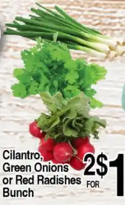 Superior Grocers Cilantro, Green Onions or Red Radishes Bunch offer