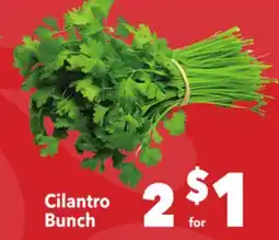 Vallarta Supermarkets Cilantro Bunch offer