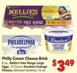 Vallarta Supermarkets Philly Cream Cheese Brick offer