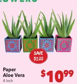 Vallarta Supermarkets Paper Aloe Vera offer