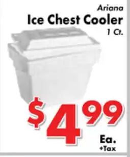 Valley Marketplace Ariana Ice Chest Cooler offer