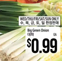 Hmart Big Green Onion offer
