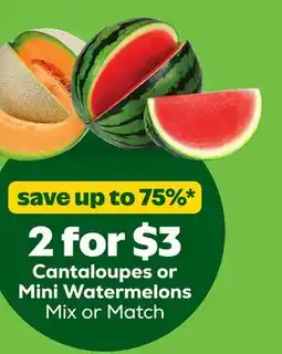 Grocery Outlet Cantaloupes or Mini Watermelons offer