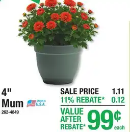 Menards 4 Mum offer
