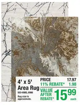 Menards 4' x 5' Area Rug offer