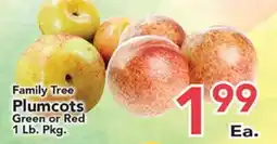 Eurofresh Market Family Tree Plumcots offer