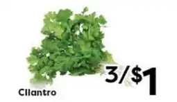 Rich's Fresh Market Cilantro offer