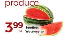 Rich's Fresh Market Seedless Watermelon offer