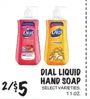 Foodarama Dial liquid hand soap offer