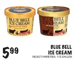 Foodarama Blue Bell ice cream offer