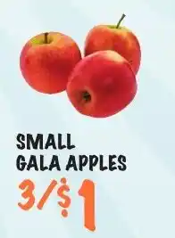 Foodarama Small gala apples offer