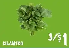Foodarama Cilantro offer