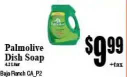 Baja Ranch Palmolive dish soap offer