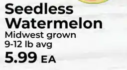 Sunset Foods Seedless Watermelon offer