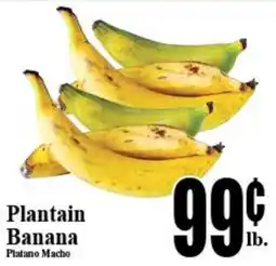 Baja Ranch Plantain Banana offer