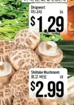 Hmart Shiitake Mushroom offer