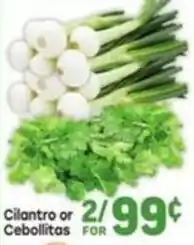 Tony’s Fresh Market Cilantro or Cebollitas offer