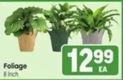 Tony’s Fresh Market Foliage offer