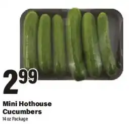 Big Y Mini Hothouse Cucumbers offer