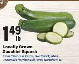 Big Y Locally Grown Zucchini Squash offer