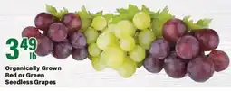 Big Y Organically Grown Red or Green Seedless Grapes offer