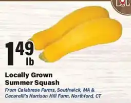 Big Y Locally Grown Summer Squash offer