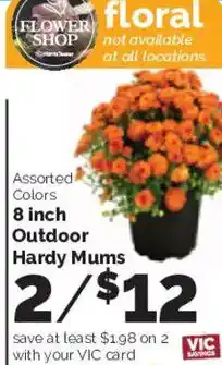 Harris Teeter Flower Shop Assorted Colors 8 inch Outdoor Hardy Mums offer
