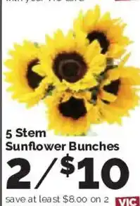 Harris Teeter 5 stem sunflower bunches offer