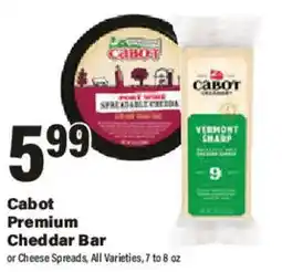Big Y Cabot Premium Cheddar Bar offer