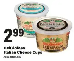 Big Y BelGioioso Italian Cheese Cups offer