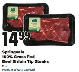 Big Y Springvale 100% Grass Fed Beef Sirloin Tip Steaks offer