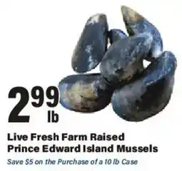 Big Y Live Fresh Farm Raised Prince Edward Island Mussels offer