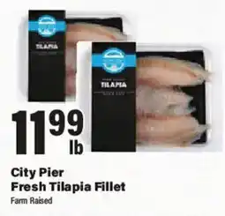 Big Y City Pier Fresh Tilapia Fillet offer