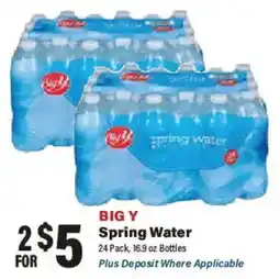 Big Y Big Y Spring Water offer