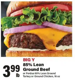 Big Y Big Y 85% Lean Ground Beef offer